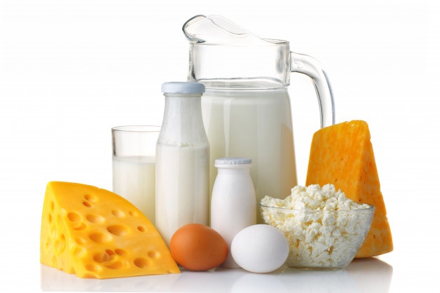 dairy-protein-products